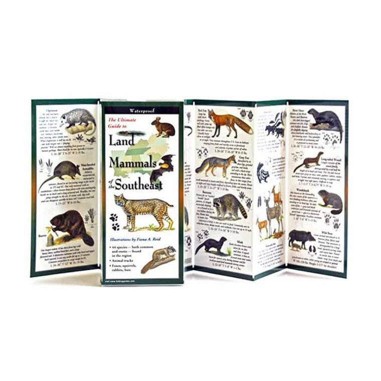 Land Mammals Of The Southeast