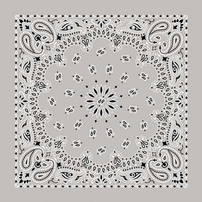Bandana Paisley Silver