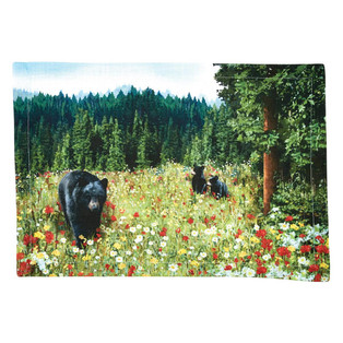Hello Bear Placemats - Set of 6 - 762242041462