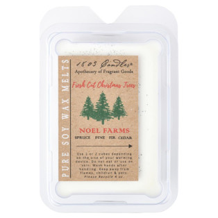 Primitive 1803 Melter - Fresh Cut Christmas Trees - 400000740126