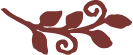 burgundycurly branch