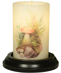 Candle Sleeve - Secret Mushroom Fern