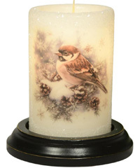 Candle Sleeve - Winter Pine Sparrow