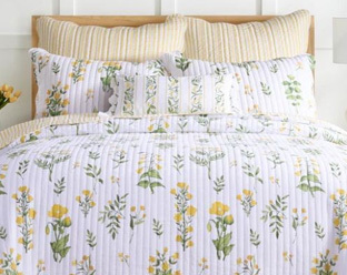 Daffodil Bedding