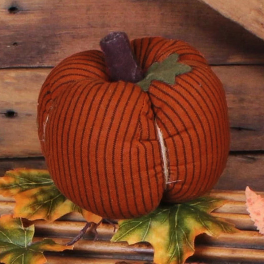 Pumpkin Spice Ticking Pumpkin - 4x3