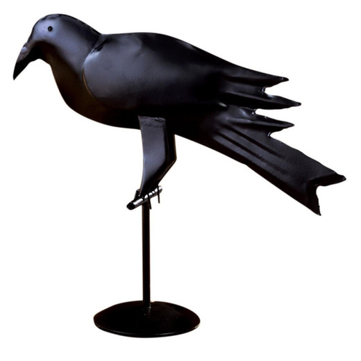 Primitive Iron Crow - 13"