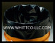 Drum liners-Trash Bags 1.35 mil 100 bags Black -Revolution bag Company EPA- LEED- Sustainability