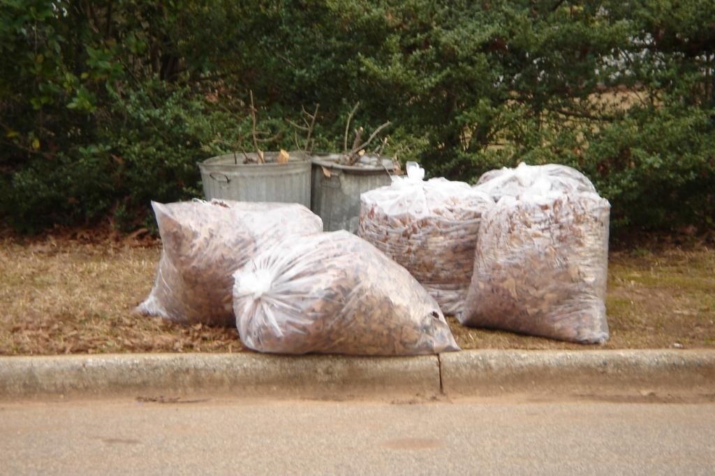 Lawn and Landscaping Bags