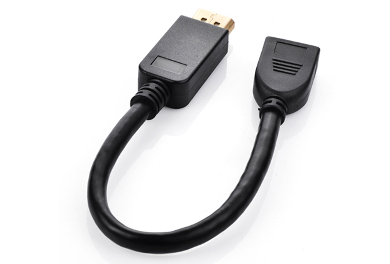 20CM Display Port M-F Cable/Port Saver