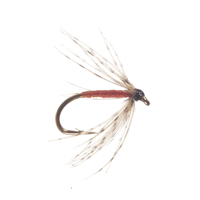 Partridge and Orange Soft Hackle Wet Fly