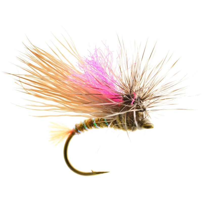 Front End Loader Tan