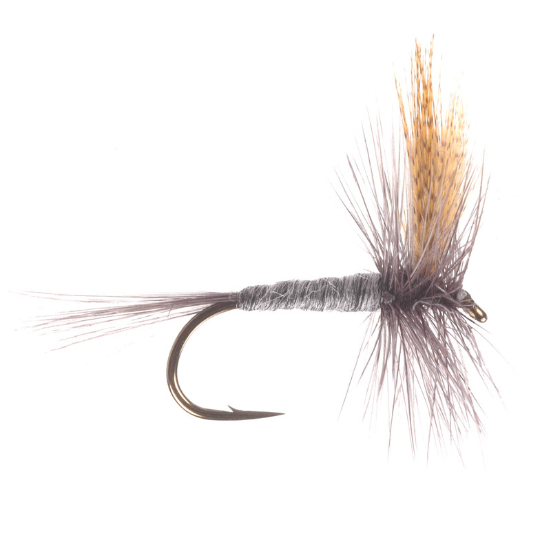 Dark Hendrickson Dry Fly