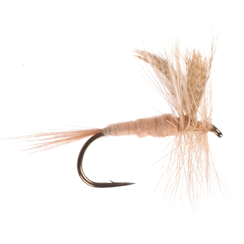 Light Hendrickson Dry Fly