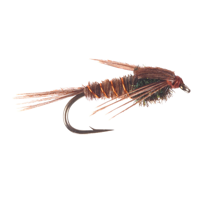 Pheasant Tail Nymph