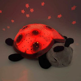 Twilight LadyBug