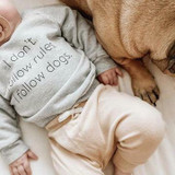 Portage & Main - The I Don't Follow Rules. I Follow Dogs Raglan