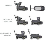 Veer Infant Car Seat Adapter