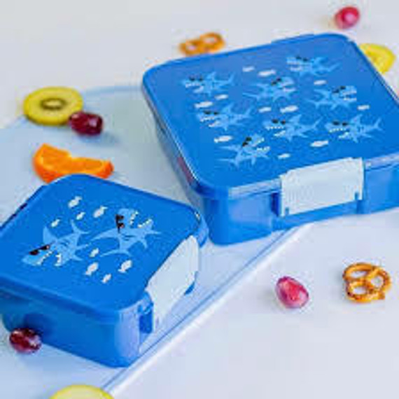 Little Lunch Box Co Bento Two- Shark Little Lunch Box Co Bento Two- Shark