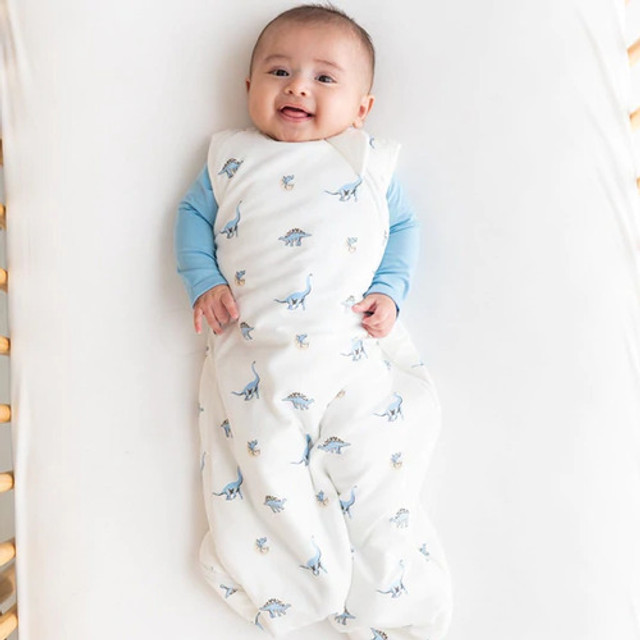 Kyte Sleep Bag 1.0 Tog- Jurassic Kyte Sleep Bag 1.0 Tog- Jurassic