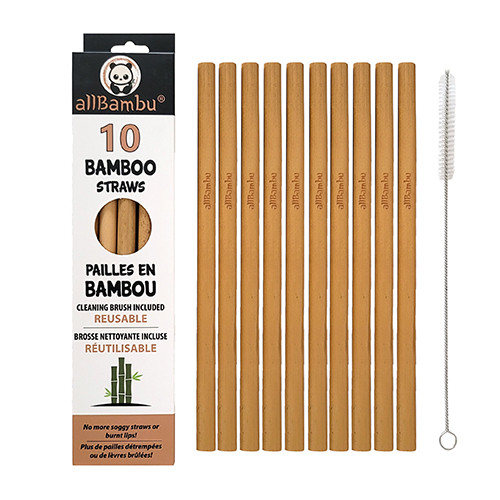 10 Pack Bamboo Straws