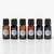 Feels like Fall Essential Oil Blend Set
