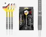 GABRIEL CLEMENS G2 19G SOFT TIP DARTS 2022