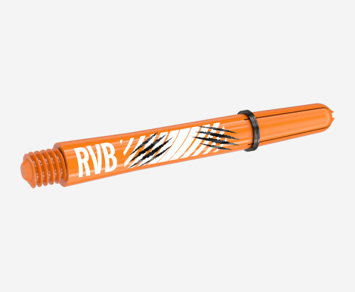 RAYMOND VAN BARNEVELD INK FLIGHT & SHAFT KIT