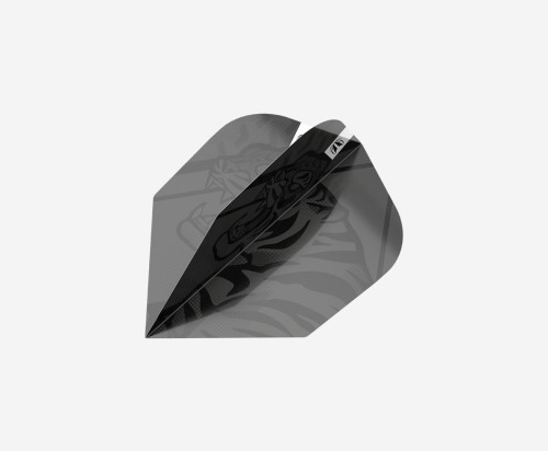 RAYMOND VAN BARNEVELD INK FLIGHT & SHAFT KIT