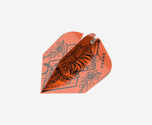 RAYMOND VAN BARNEVELD INK FLIGHT & SHAFT KIT