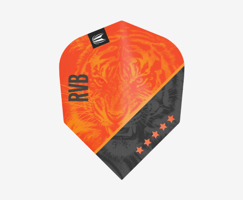 RAYMOND VAN BARNEVELD PRO.ULTRA G4 NO6 FLIGHT BAGGED