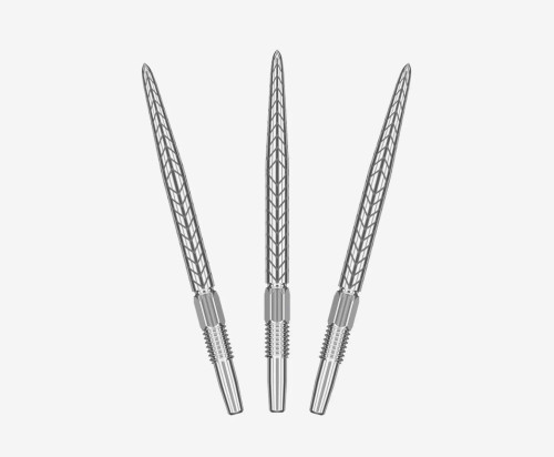 RVE SWISS POINT SILVER 2024