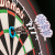 Official Gerwyn Price Practice Rings