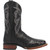 Dan Post Boots Mens Alamosa Ostrich Square Toe Dress Boots Mid Calf, Black, Size 12D