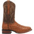 Dan Post Boots Mens Alamosa Ostrich Square Toe Boots Mid Calf, Brown - Size 11.5 D