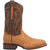 Dan Post Boots Mens Kershaw Ostrich Square Toe Boots Mid Calf, Saddle, Size 9.5EW