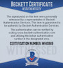 Giannis Antetokounmpo Autographed & Framed Green Milwaukee Jersey Auto Beckett COA