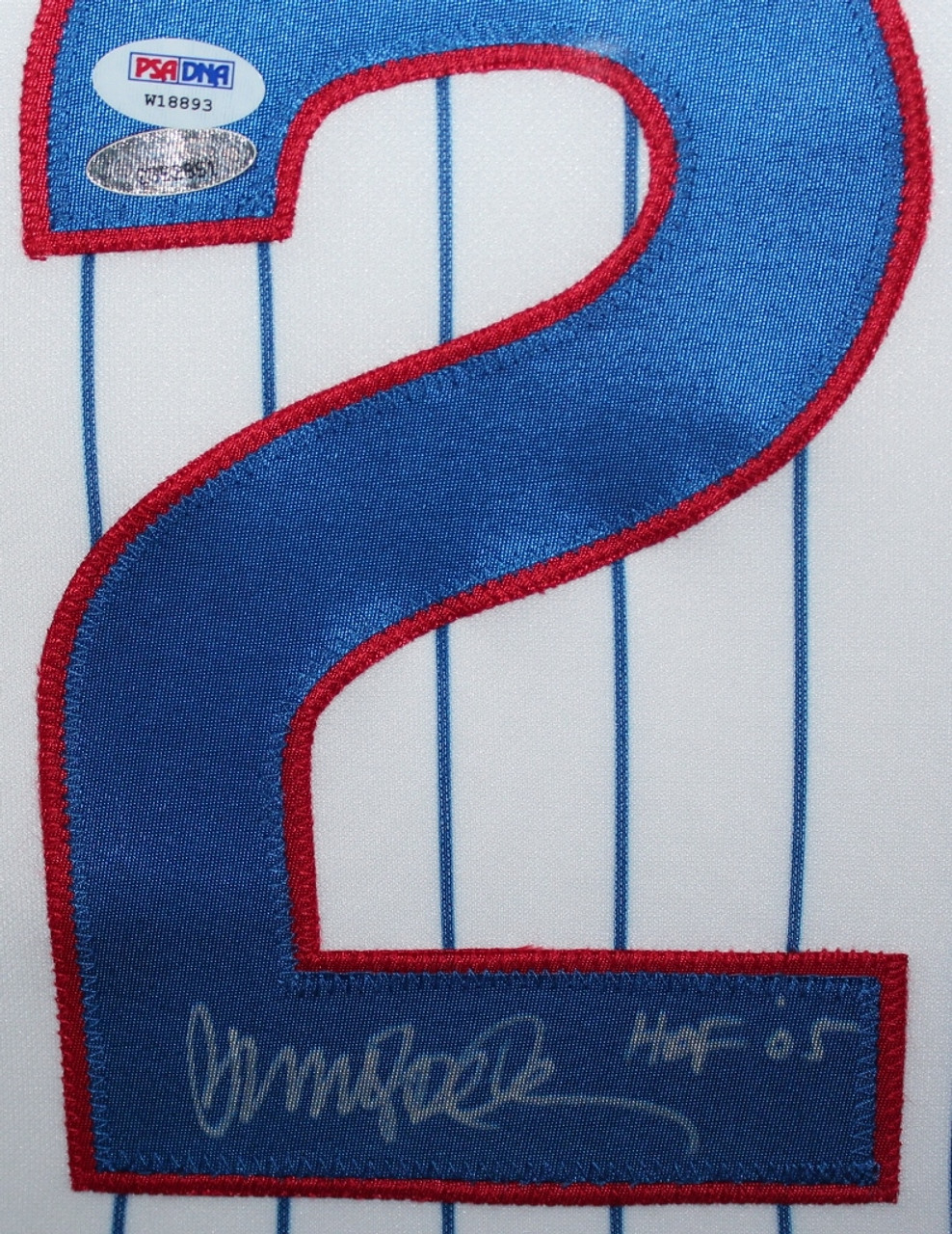 Ryne Sandberg Autographed and Framed Pinstriped Cubs Jersey