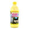 NELLIE JOE Juice Key West Lemon