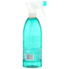 METHOD  Foaming Bathroom Cleaner Eucalyptus Mint 