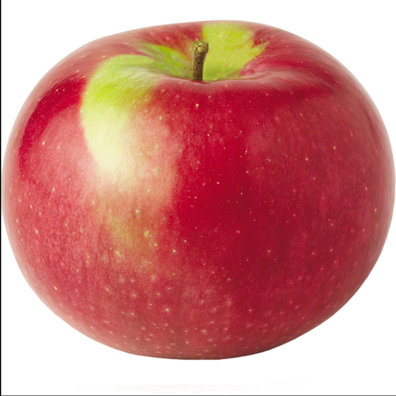 McIntosh Apple