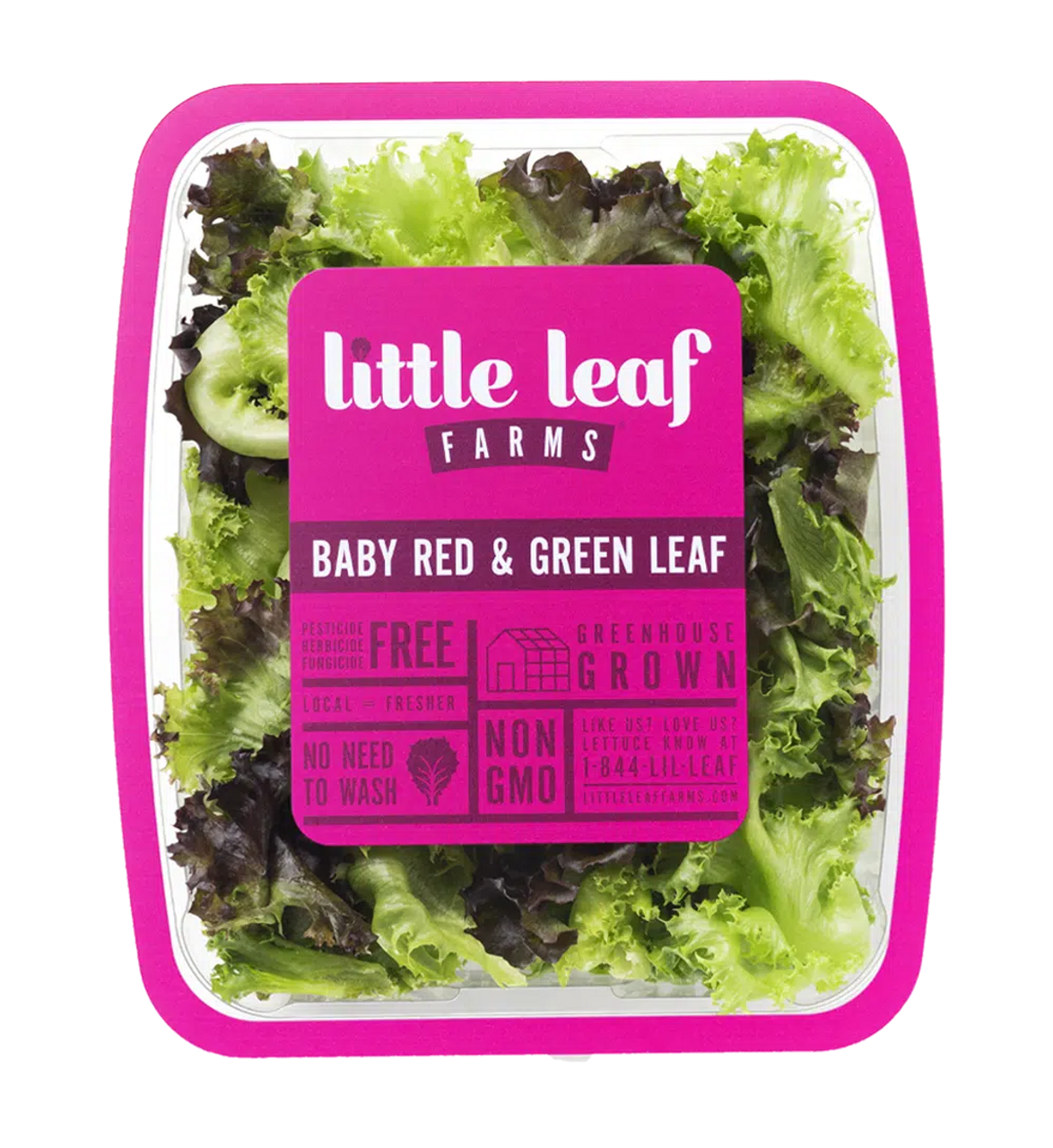 Little Leaf Farms Sweet Baby Butter Leaf, 4 oz