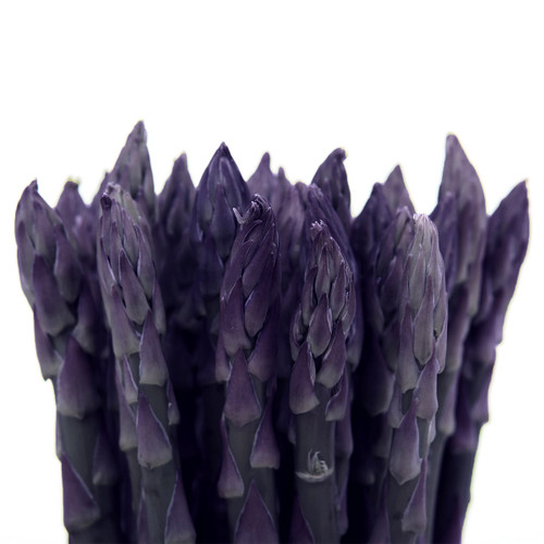 Purple Asparagus (Per Pound)