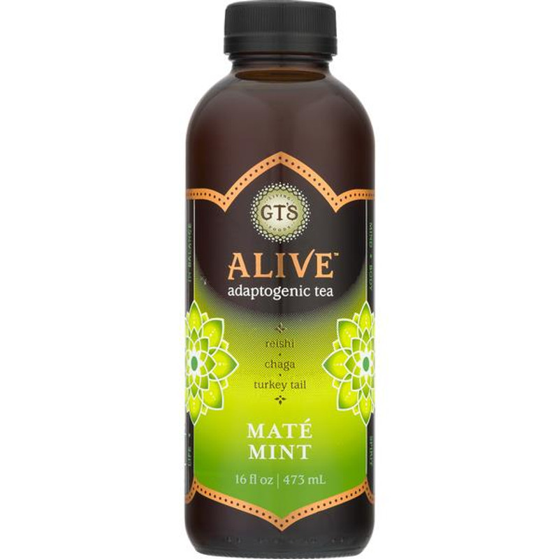 GTS Organic Kombucha Mate Mint