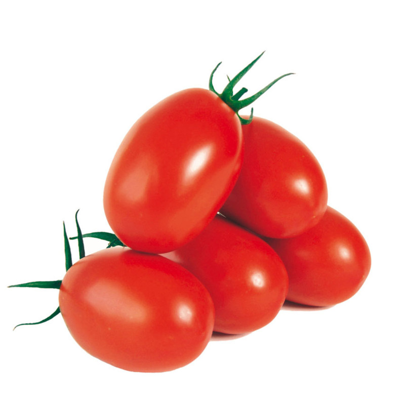 Organic Plum Tomatoes (Per Pound)