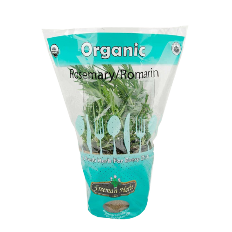 FREEMAN'S HERBS Organic Fresh Potted Rosemary Plant