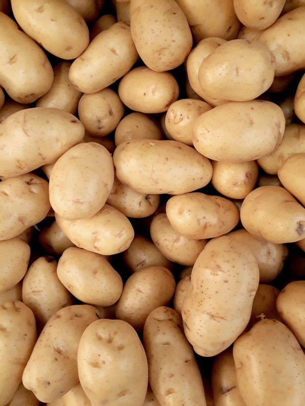 Organic Bagged Russet Potatoes (5LB)