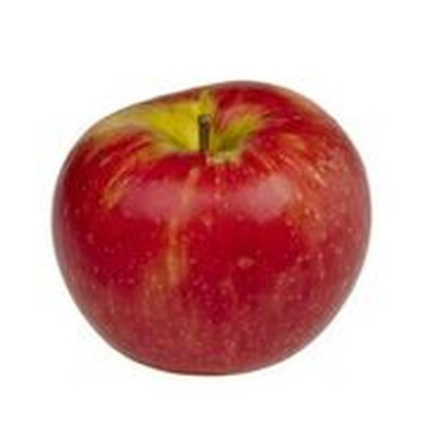Organic Gala Apples (Per Pound) - Elm City Market