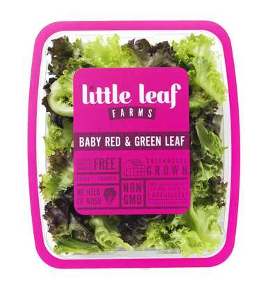 Little Leaf Farms Baby Crispy Green Leaf Lettuce - 8 oz pkg