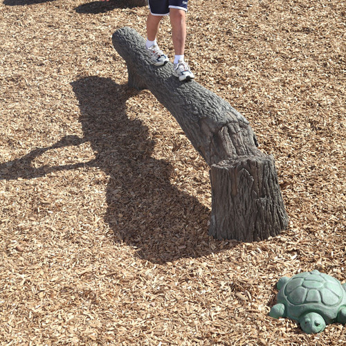 Natural and Nature Inspired Playground Equipment