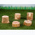 Wood stumps in different heights
